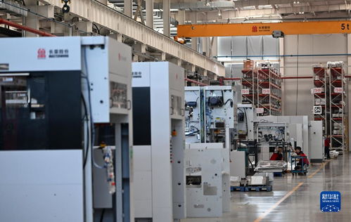 高端技術(shù)服務(wù)與銷售 開拓海外市場的戰(zhàn)略路徑